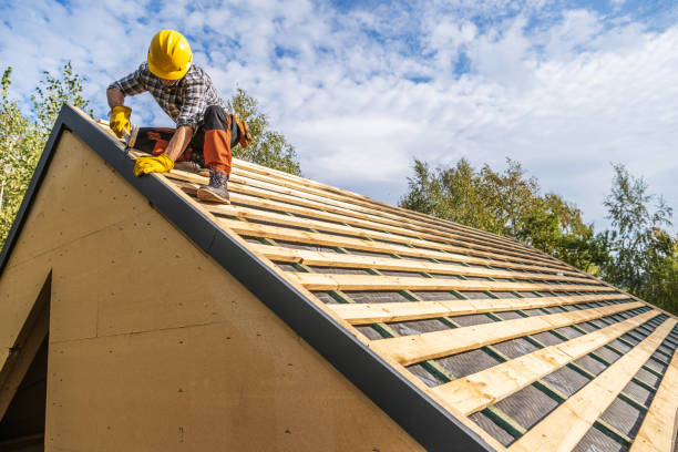 Best Metal Roofing Contractor  in Walterboro, SC