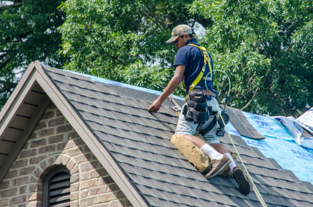 Quick and Trustworthy Emergency Roof Repair Services in Walterboro, SC